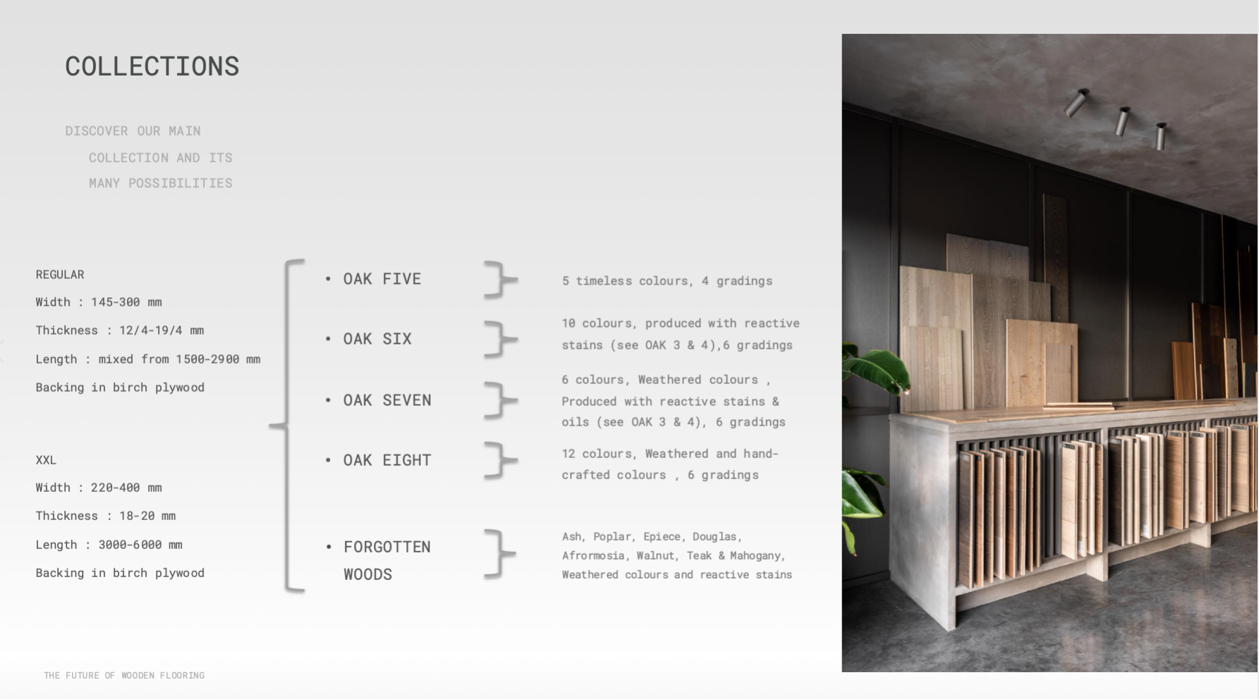 Colección Belgiqa Oak Five, Six, Seven, Eight y Forgotten Woods con especificaciones técnicas y showroom
