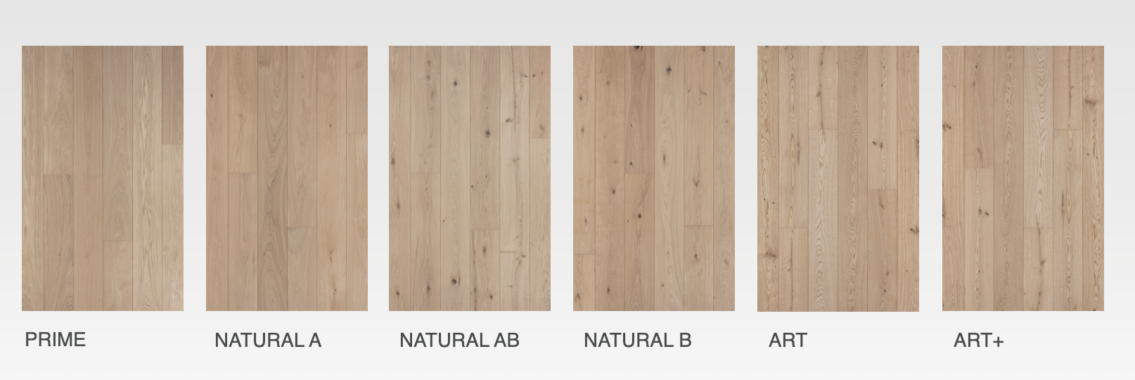 Selección de nudos para madera Belgiqa